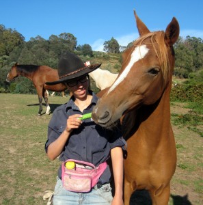 Teaching your horse to accept the worming tube is easy with positive reinforcement (clicker training) and regular practice.
