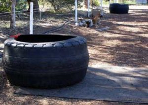 Tyre-on-rubber-mat