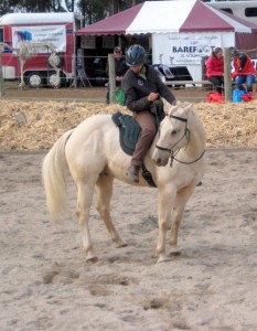 To apply an indirect rein to the left focus on the right hindquarter, lift the right rein and use your right leg behind the girth.