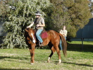 Teaching a good hindquarter yield (disengagement) is essential for any type of riding if you want to control your horse's movement.