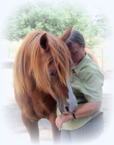 Laurel connecting with Jedda "My best memory of Jedda was the way every day she would put her soft eye close to mine, then gently lick my hand, I felt so loved, and as if our souls were linked." Laurel Gordon.
