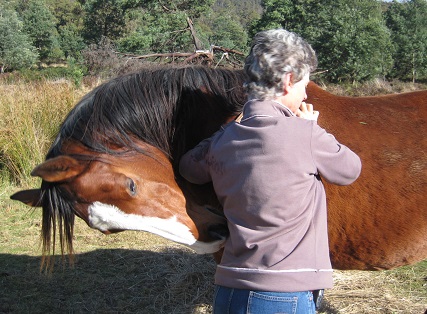 Mutual grooming Mutual grooming is the best way to start connecting.